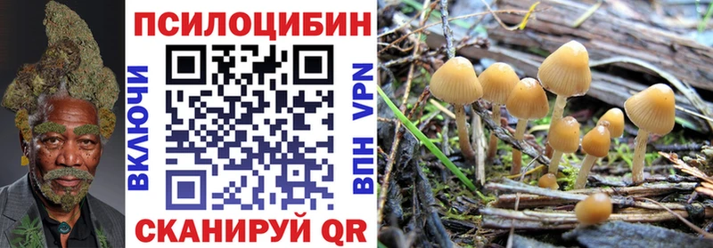 Галлюциногенные грибы Cubensis  Зверево 